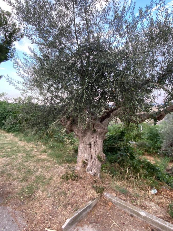 Maison Montefino Villa Dış mekan fotoğraf